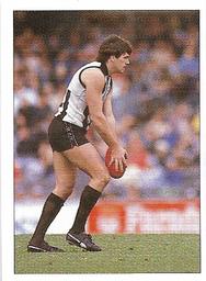 1990 Select AFL Stickers #256 Brian Taylor Front